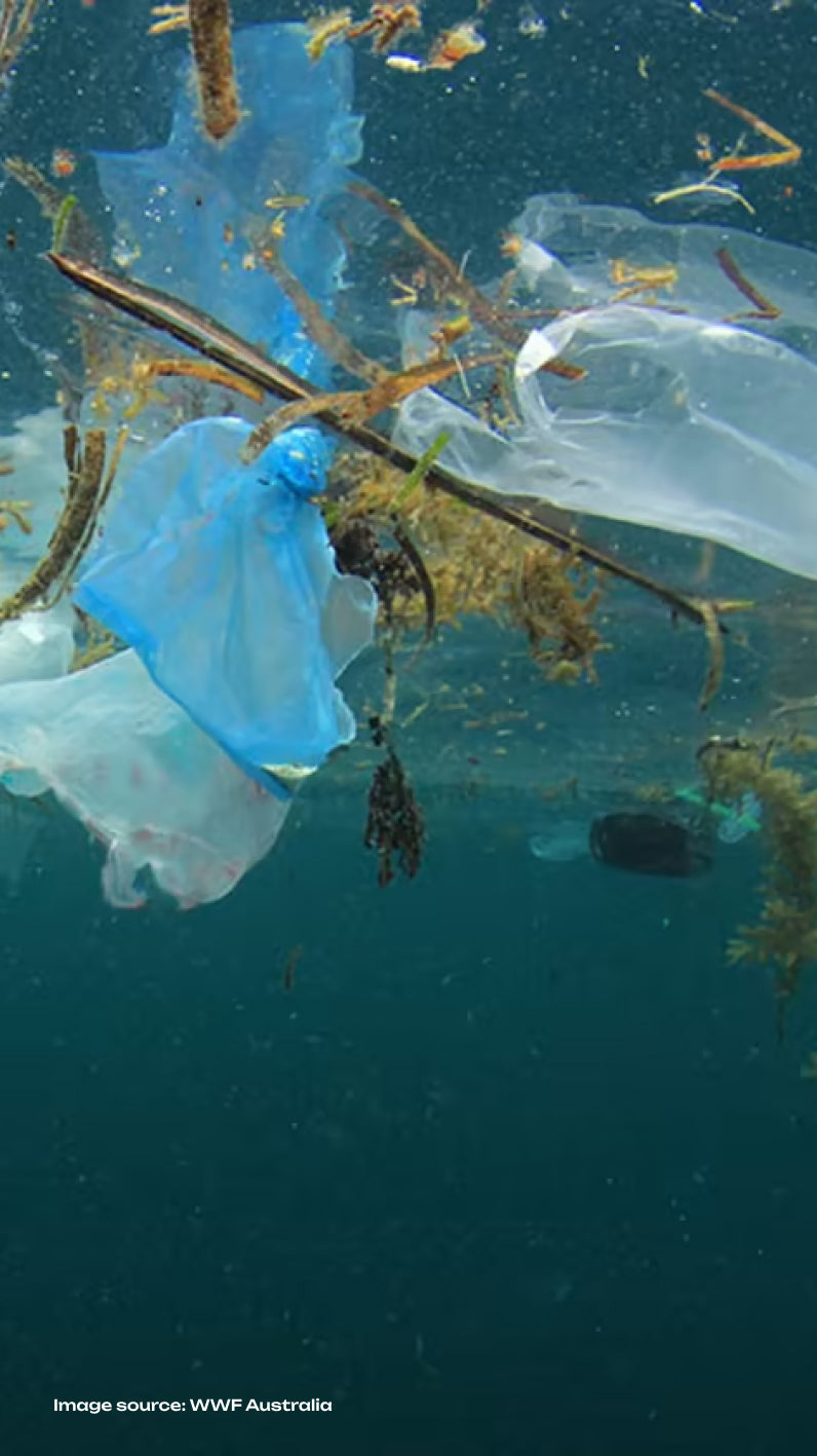 Recycled Ocean Plastic Strap