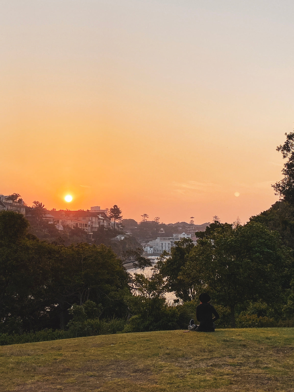 Notes from Sydney's Northern Beaches as summer comes back