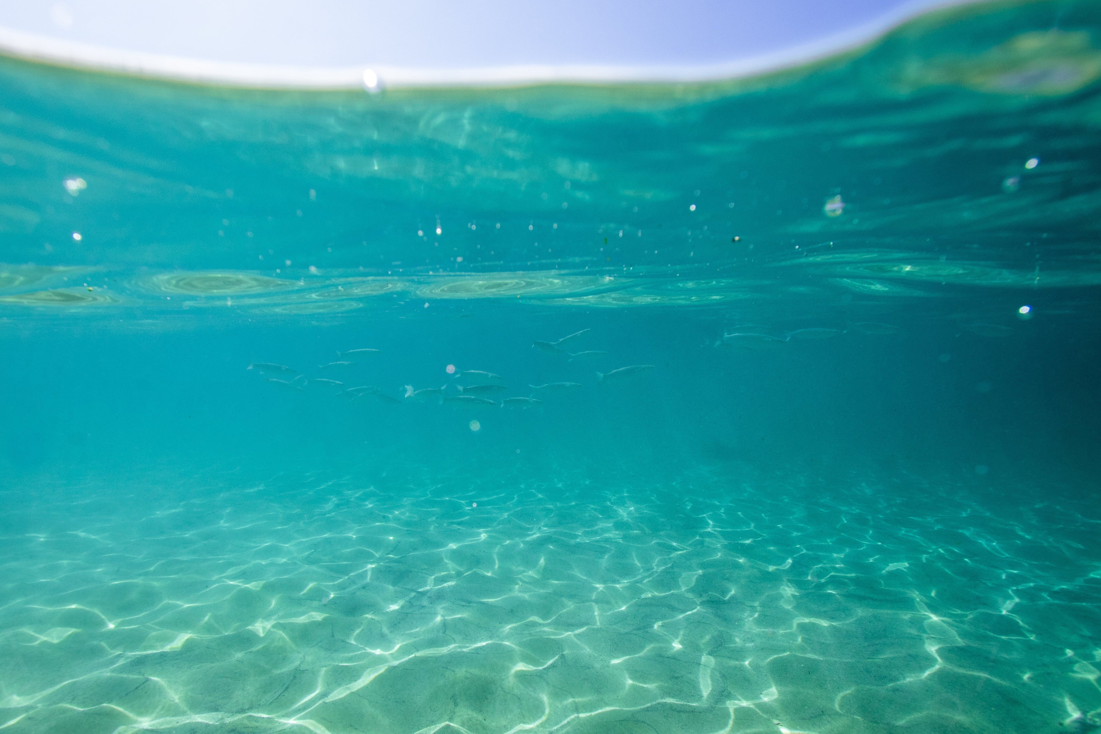 How to Read the Tide (With or Without a Tide Watch)