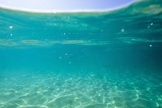How to Read the Tide (With or Without a Tide Watch)