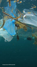 Underwater view of plastic bags and marine debris floating in the ocean, entangled with seaweed and branches. Highlights the severity of plastic pollution in marine ecosystems. Image source: WWF Australia.
