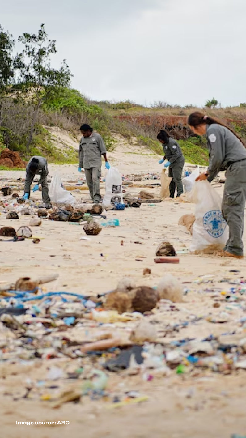 Volunteers cleaning plastic waste and debris from a heavily polluted beach, collecting rubbish into large bags. Environmental conservation effort highlighting the impact of marine pollution. Image source: ABC.
