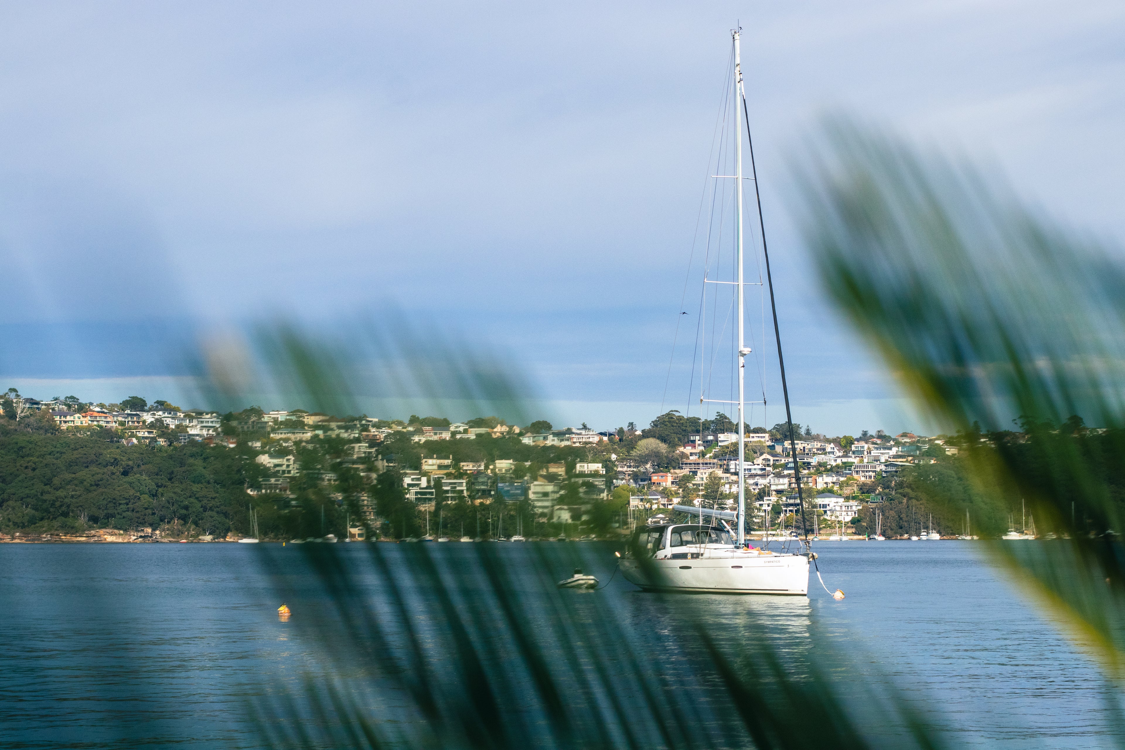 Sailboat anchored in calm coastal waters with hillside homes in the background, framed by soft focus palm fronds. Scenic ocean lifestyle image captured near Sydney.